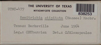 Image Associated With the Occurence